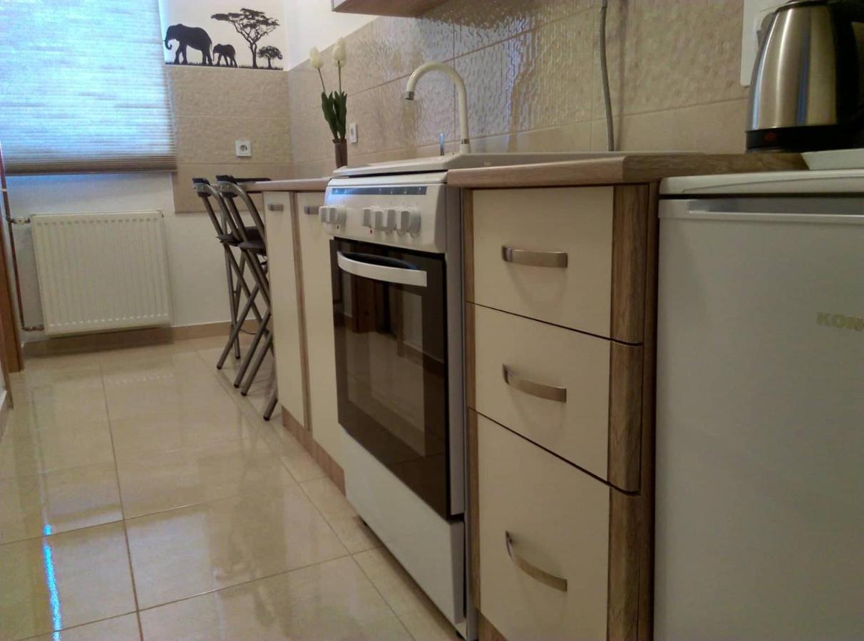 Studio Apartman Zdral Daruvar Exterior photo